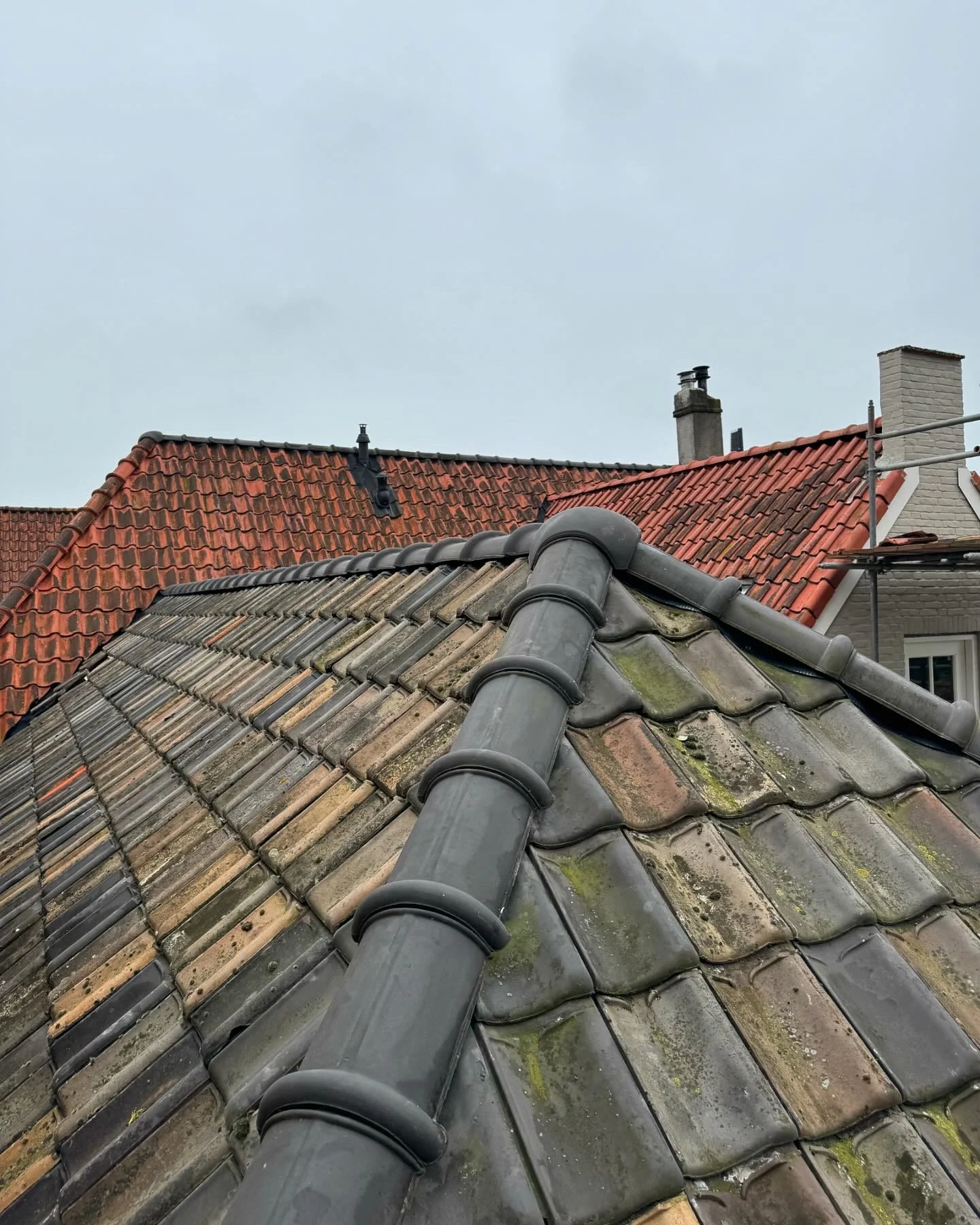 E02AF979-CF75-4E99-BCDA-481D8890539E